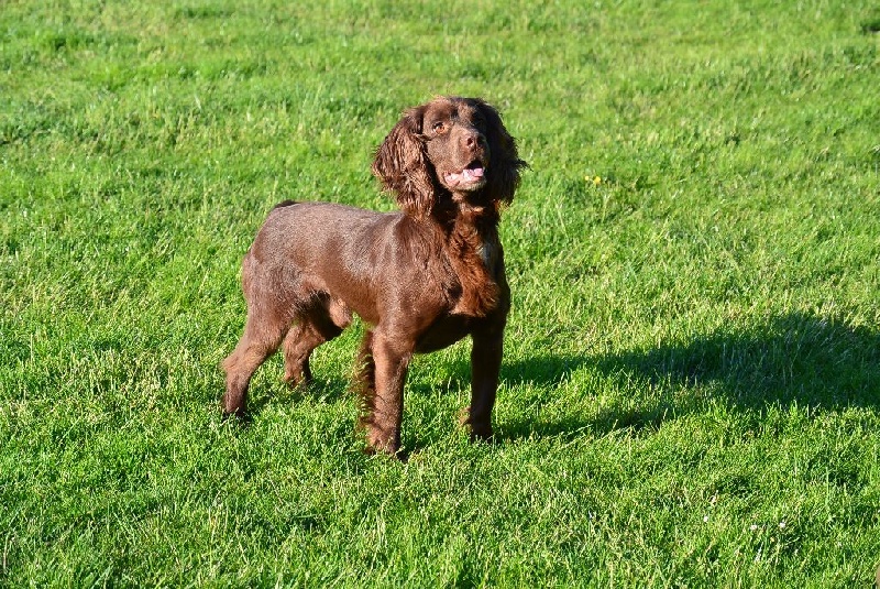 mallowdale Pete